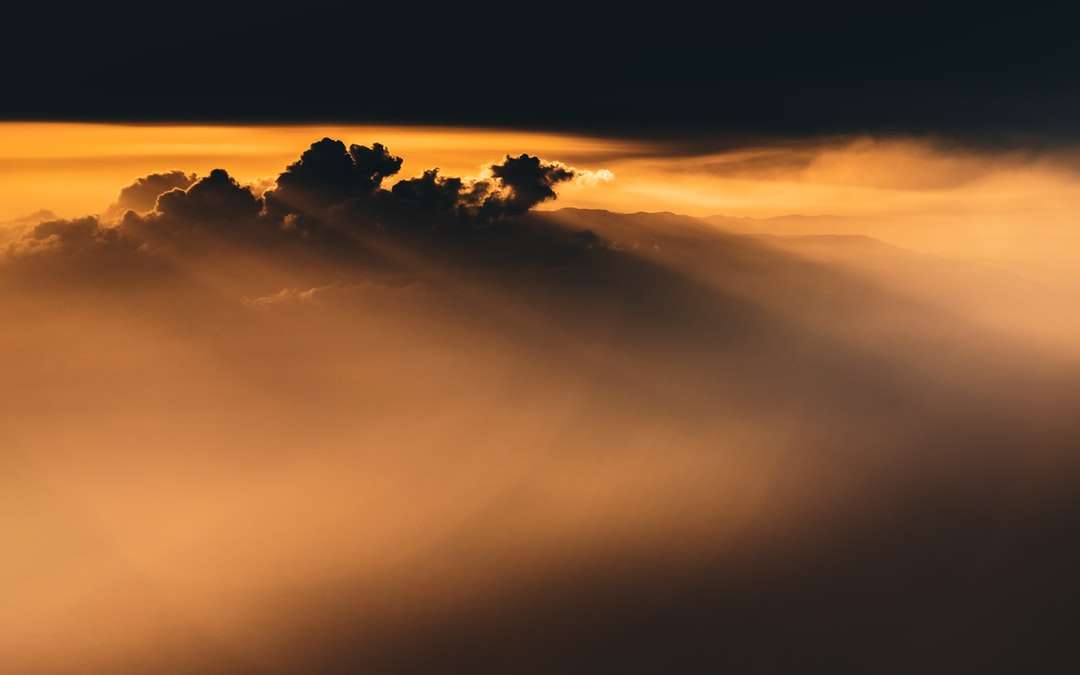 silhouette d'arbres sous un ciel nuageux au coucher du soleil puzzle en ligne