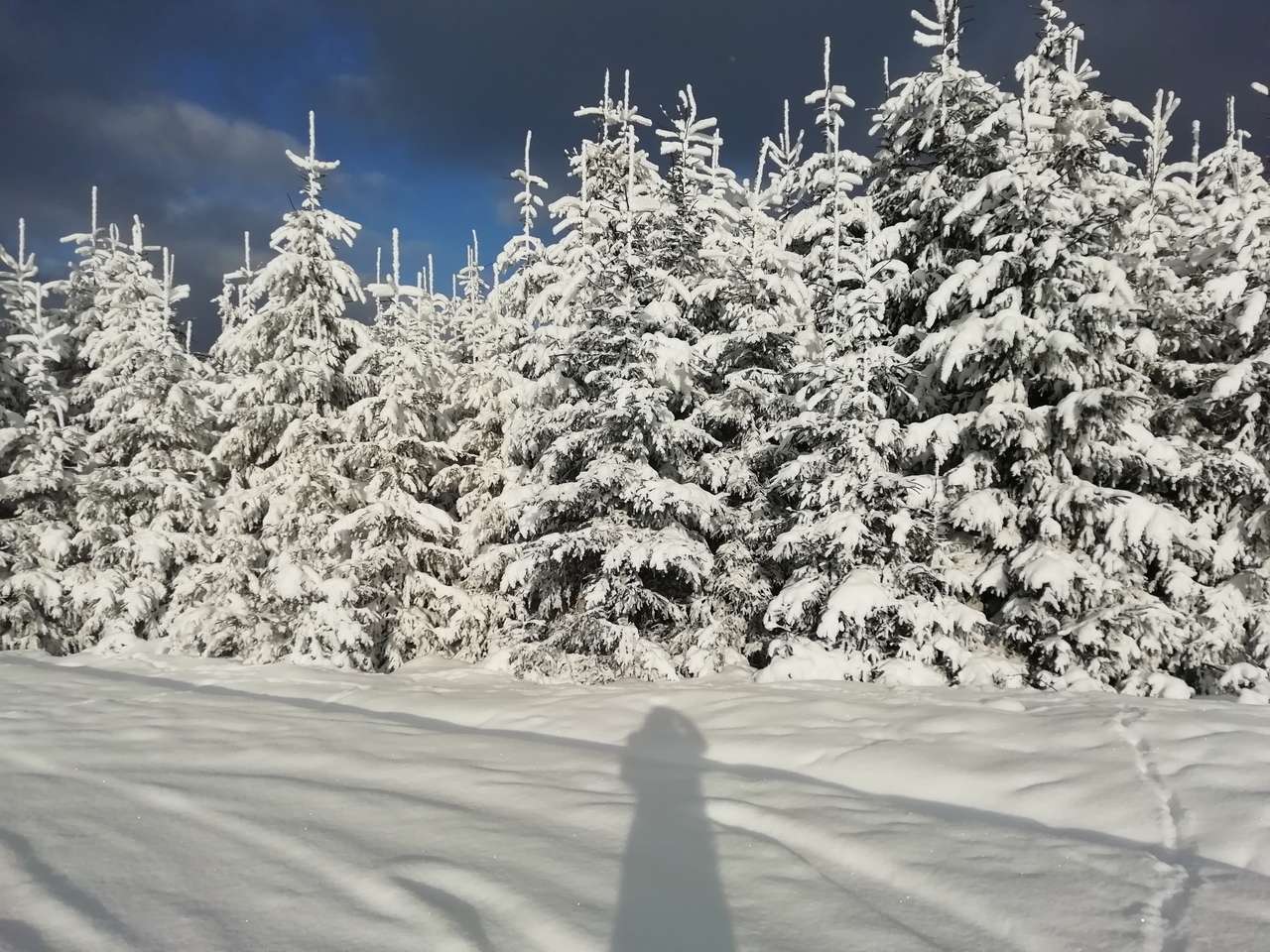 Зима в горах онлайн-пазл