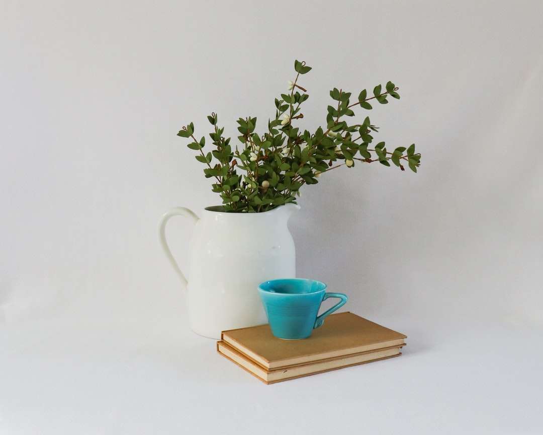 zelená rostlina v modrém keramickém hrnečku na hnědé dřevěné dráze skládačky online