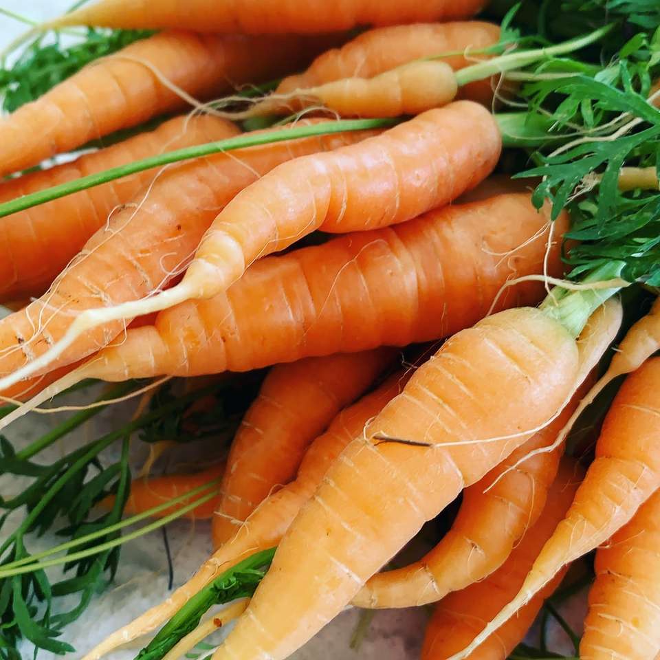 оранжеви моркови върху зелена трева през деня онлайн пъзел