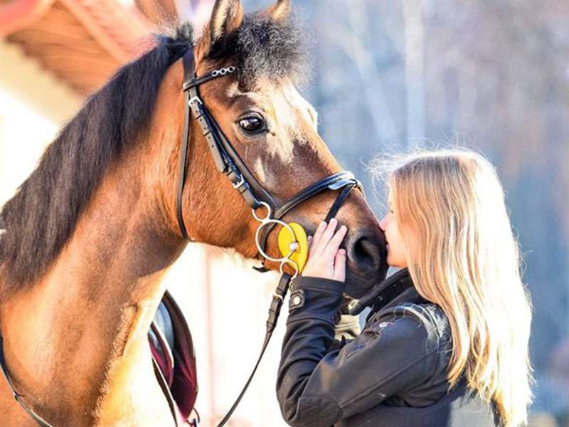 άλογο με ένα κορίτσι online παζλ