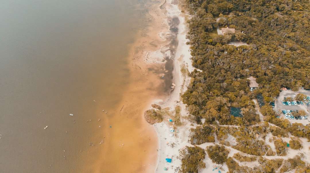 a légi felvétel a víztest napközben kirakós online