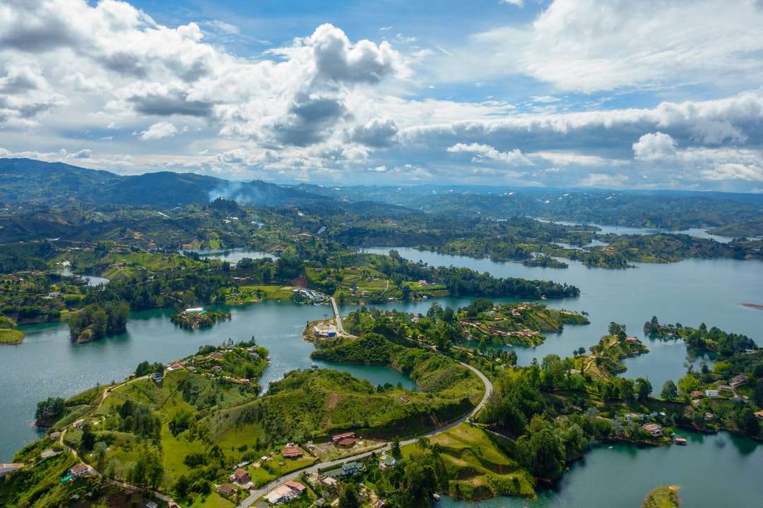 vista aérea de árvores verdes e rio durante o dia quebra-cabeças online