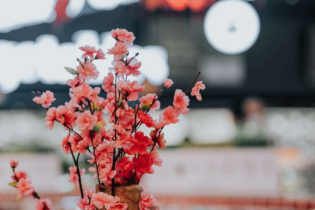 flores vermelhas e brancas em vaso de madeira marrom quebra-cabeças online