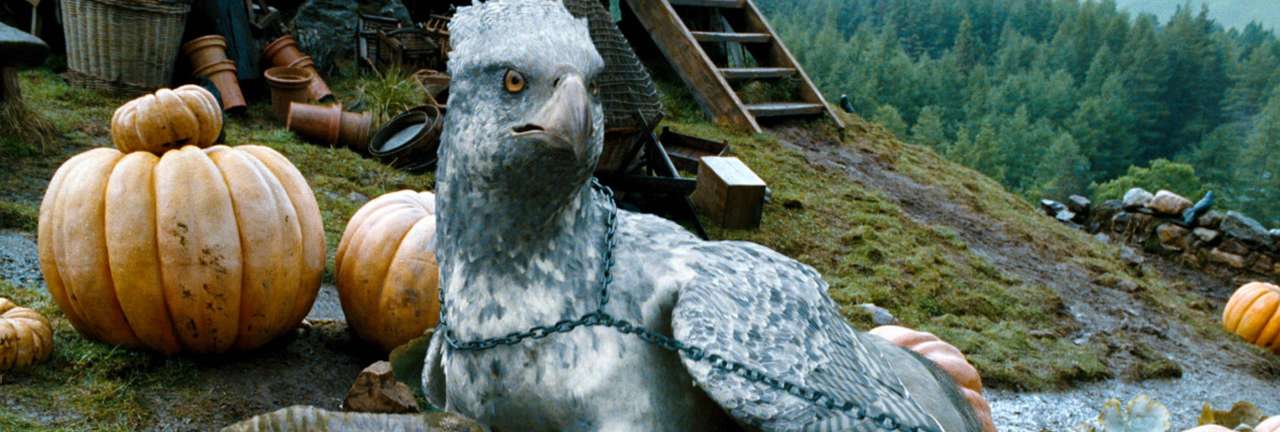 Hippogriff jigsaw puzzle online