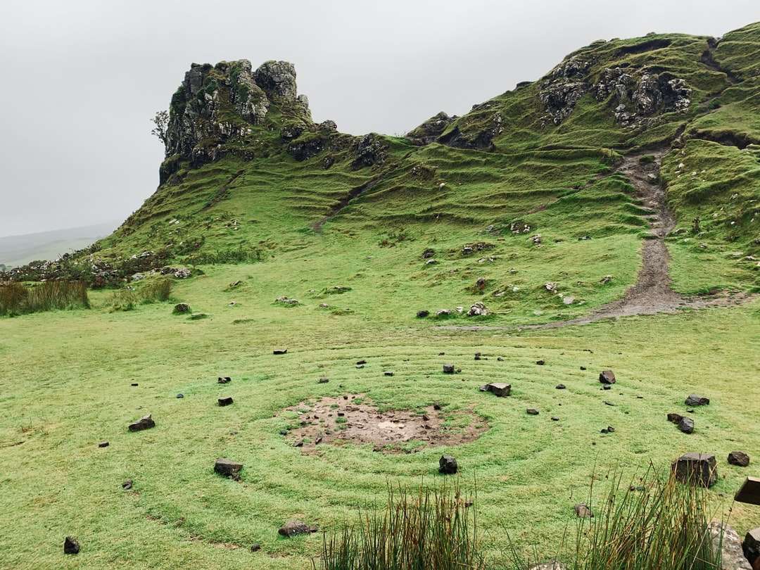 câmp de iarbă verde pe munte puzzle online