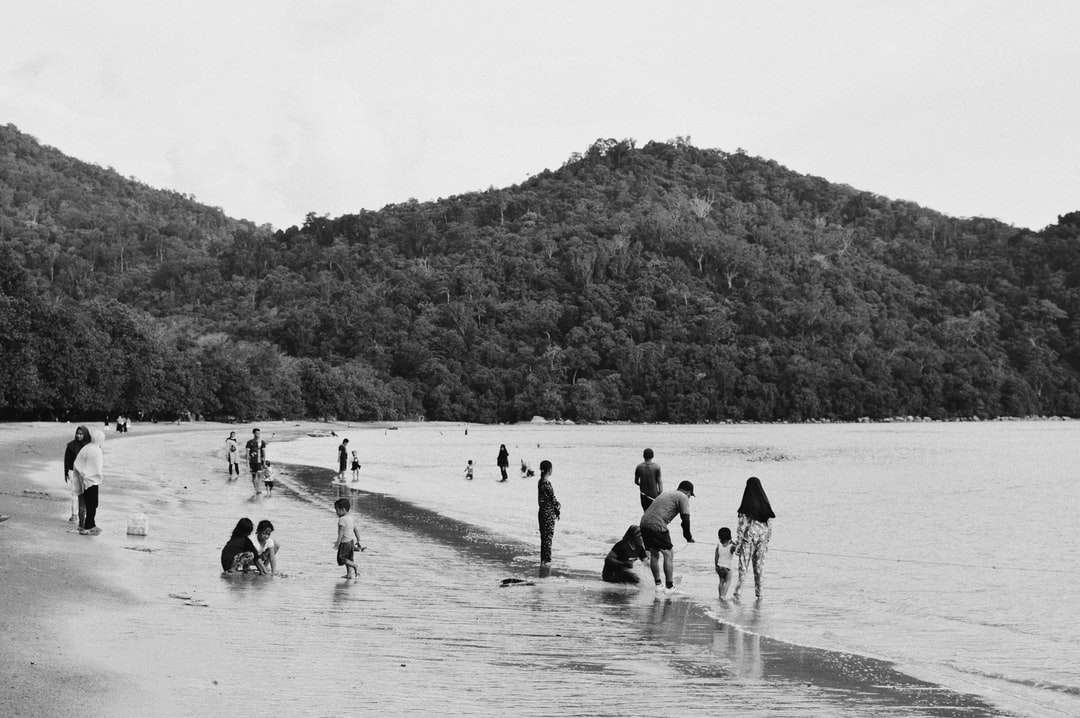 gråskalefoto av människor som leker på stranden Pussel online