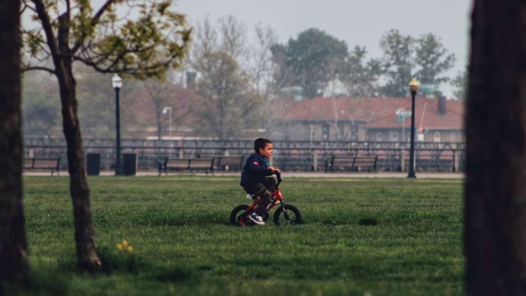 αγόρι με μαύρο πουκάμισο ιππασία με ποδήλατο στο πράσινο γρασίδι πεδίο online παζλ