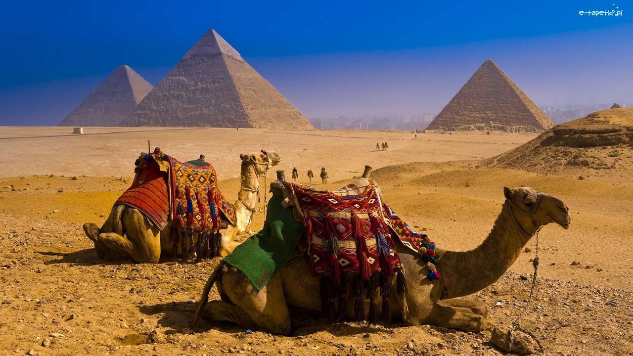 pyramidy, velbloudi v Egyptě skládačky online