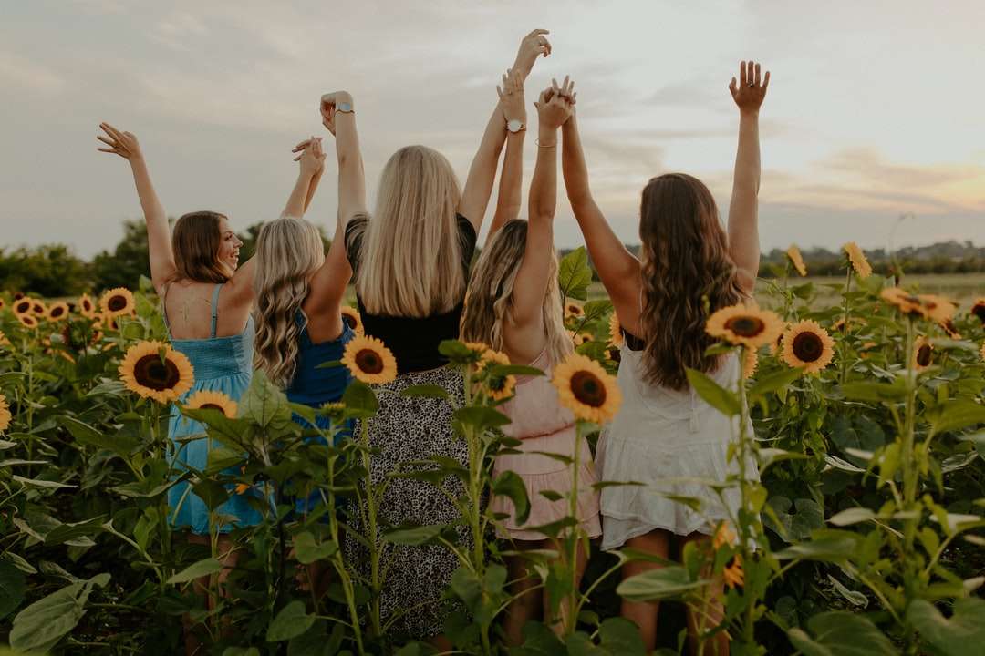 skupina lidí na slunečnicovém poli během dne online puzzle
