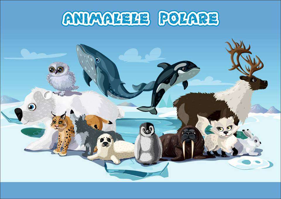 Animalele polare puzzle en ligne