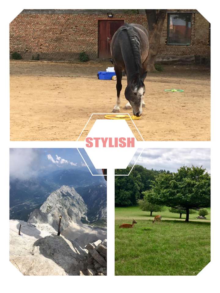 Ένα άλογο και ένα ελάφι και ένα βουνό παζλ online