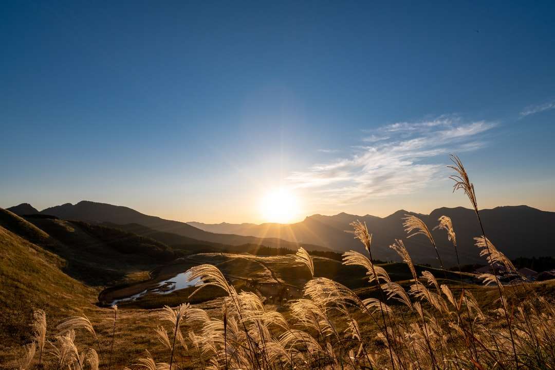barna füves területen napközben hegy közelében kirakós online