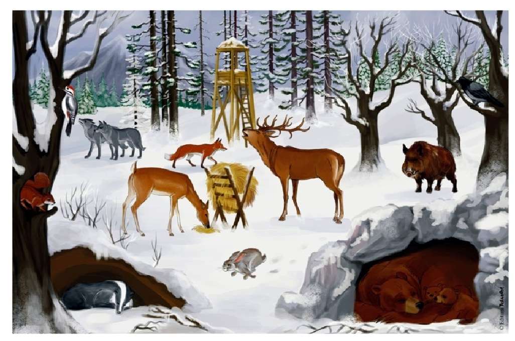Zvířata v zimě skládačky online