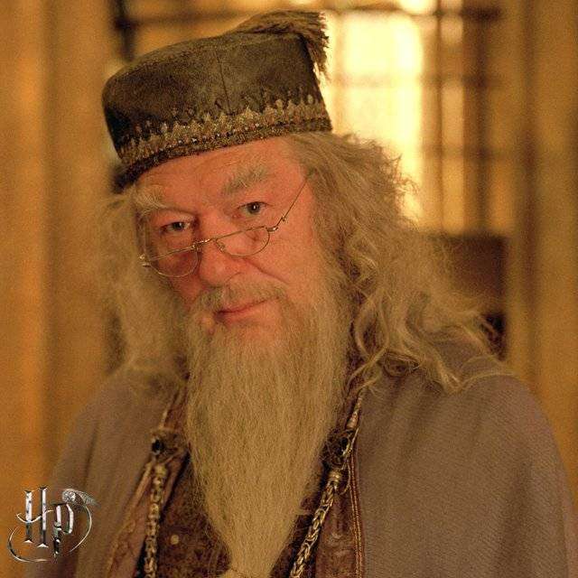 Dumbledore pussel på nätet