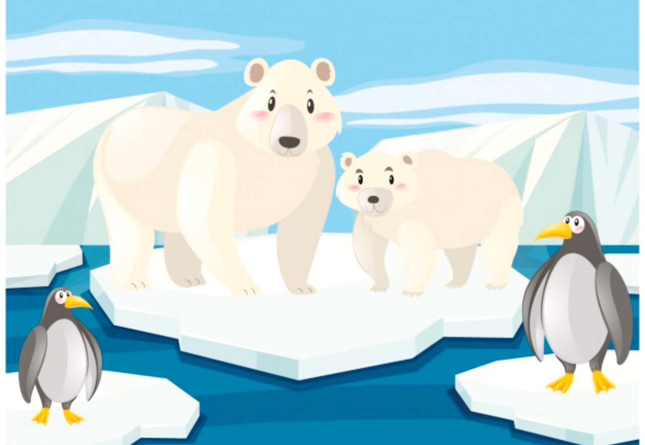 Animale polare online puzzel