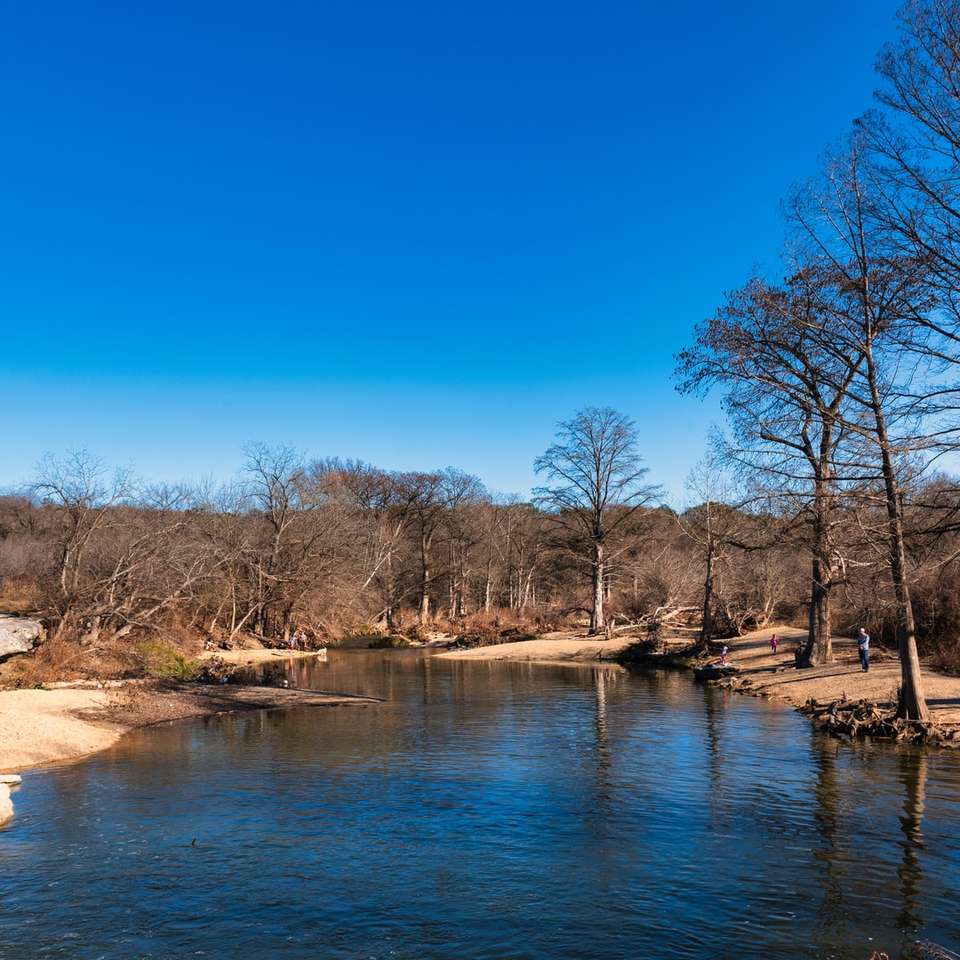 кафяви дървета до реката под синьо небе през деня онлайн пъзел