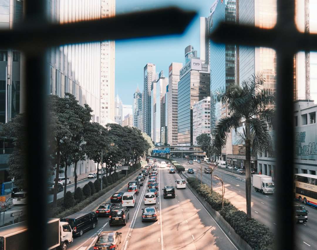 auto sulla strada vicino a grattacieli durante il giorno puzzle online