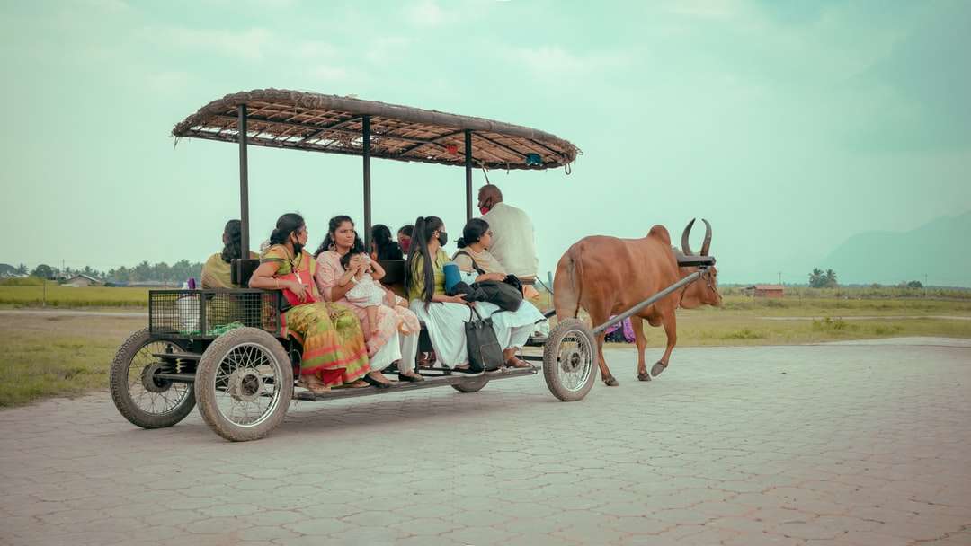άτομα που οδηγούν σε άμαξα με καφέ αγελάδα στο πλάι παζλ online