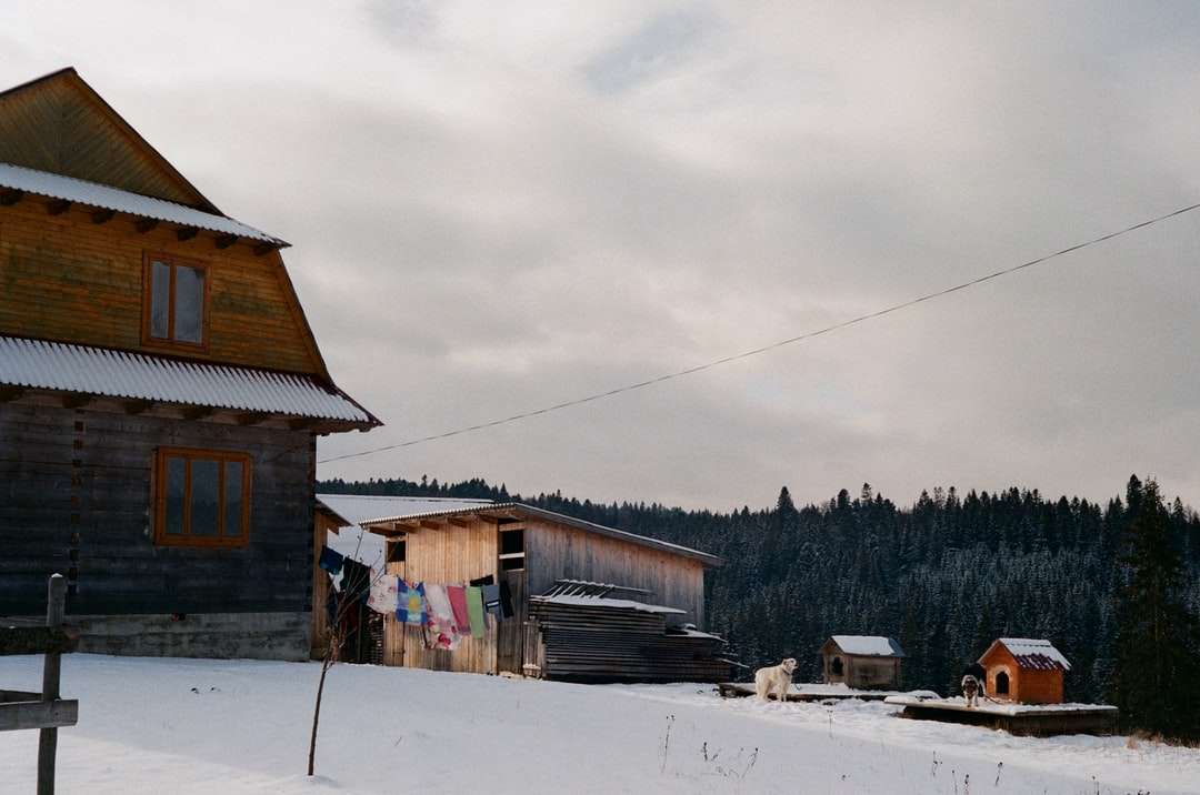 casă de lemn maro pe pământ acoperit de zăpadă puzzle online