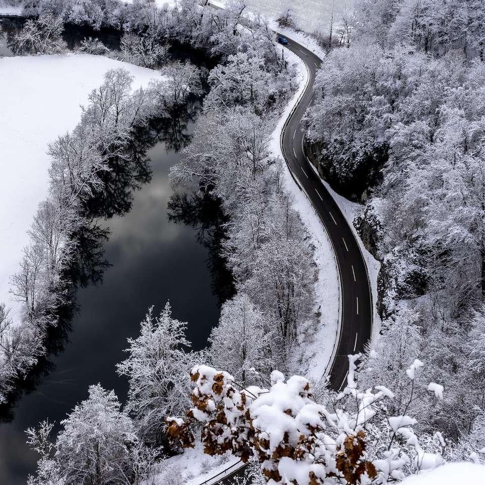 雪に覆われた木々や道路 ジグソーパズルオンライン