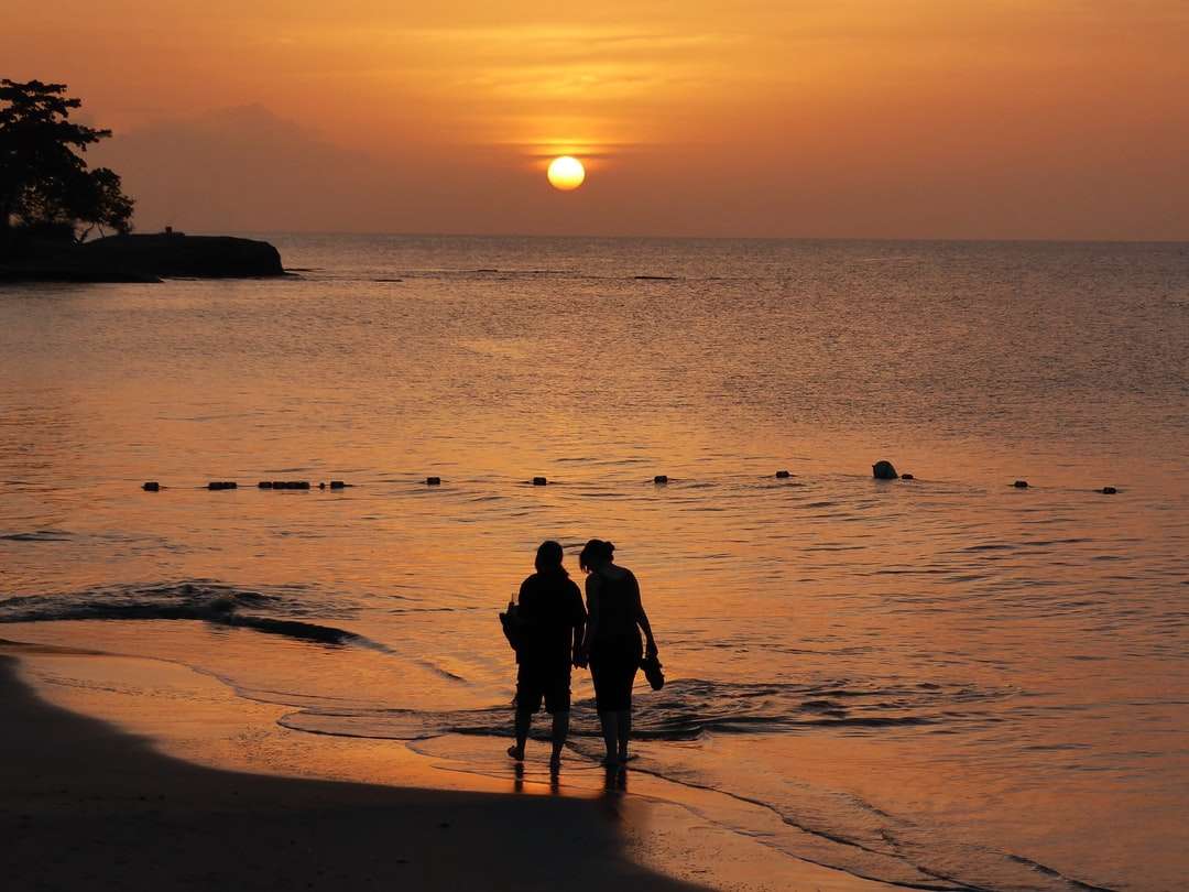 silueta 2 lidí, kteří stáli na pláži při západu slunce skládačky online