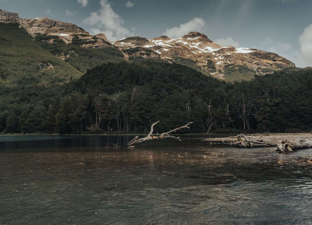 doca de madeira marrom no lago perto de árvores verdes e montanhas puzzle online