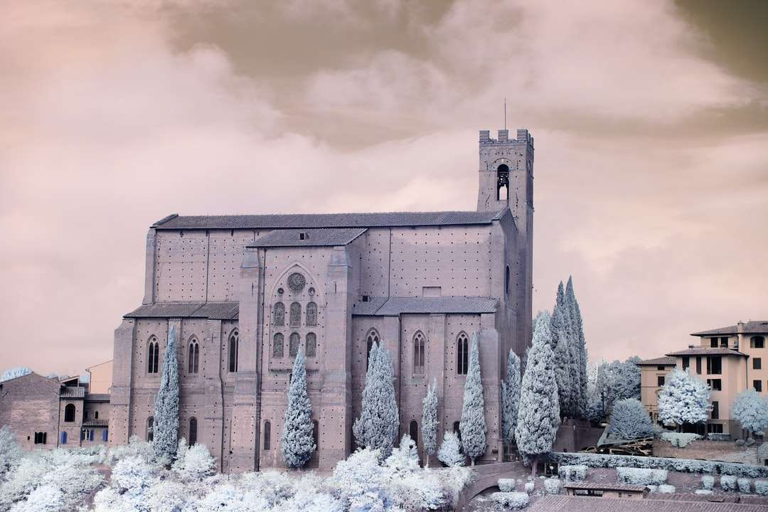 hnědá betonová budova se sněhem pokrytými stromy online puzzle
