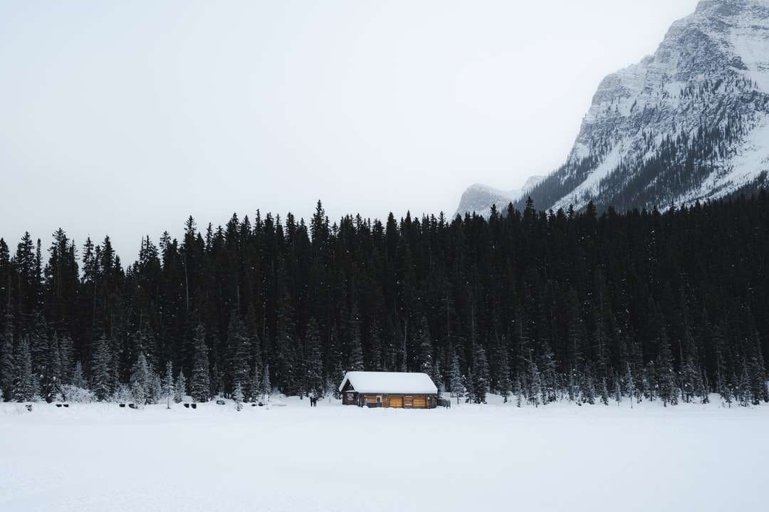 casă albă și maro pe pământ acoperit de zăpadă puzzle online