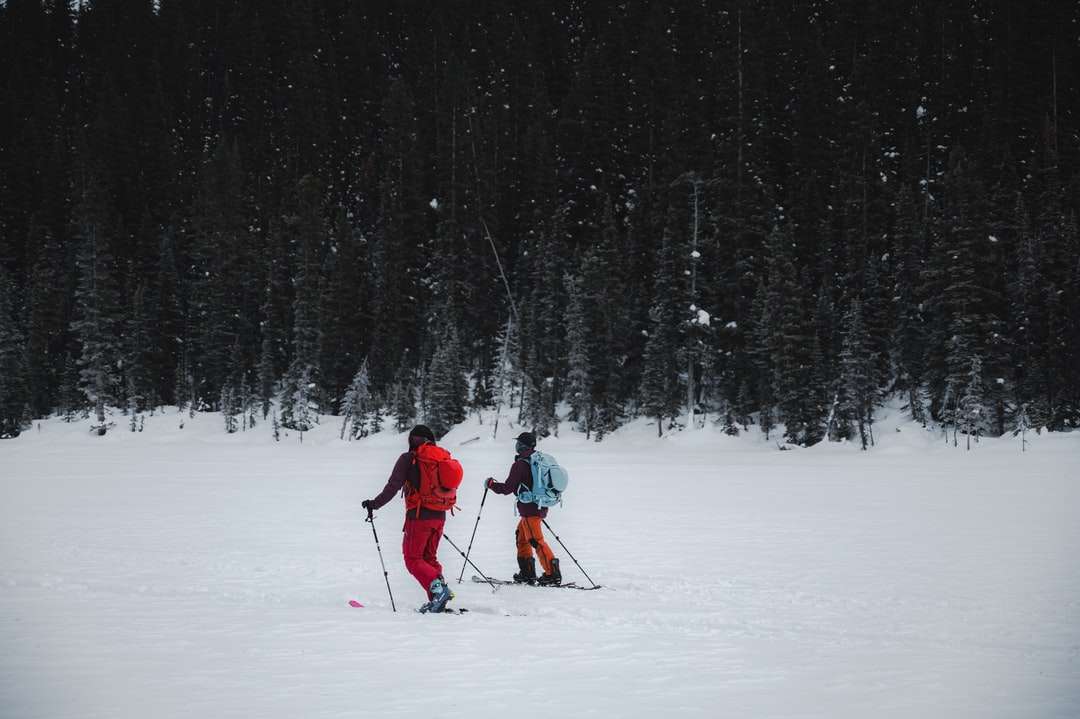 човек в червено яке и черен панталон, каращ ски остриета онлайн пъзел