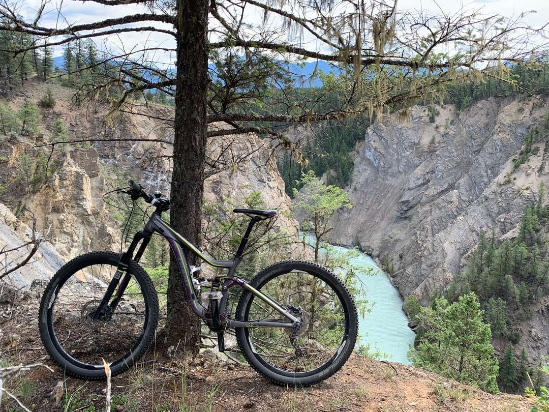 Bicicleta de montaña negra y gris cerca de un árbol desnudo marrón rompecabezas en línea