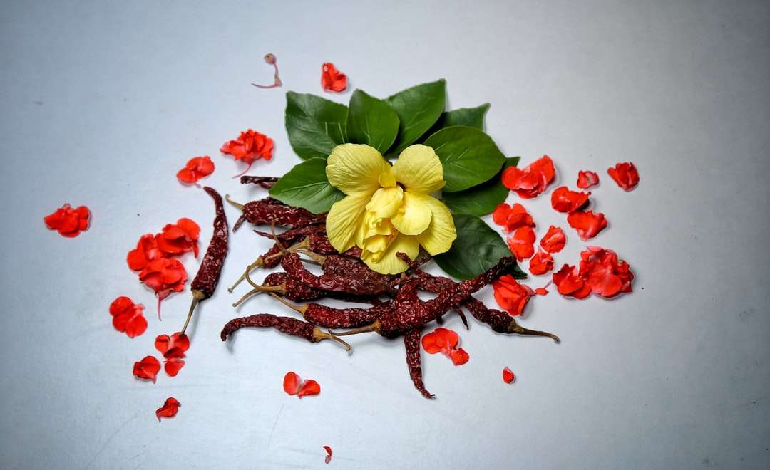 жълто и червено цвете на бяла повърхност онлайн пъзел