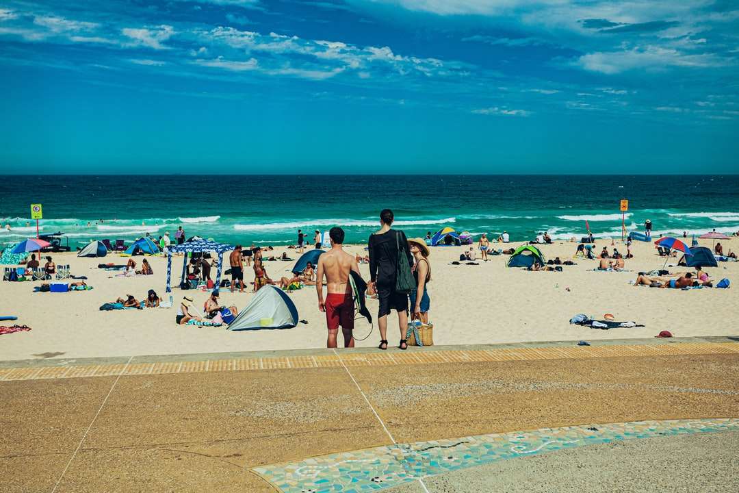 oameni pe plajă în timpul zilei jigsaw puzzle online