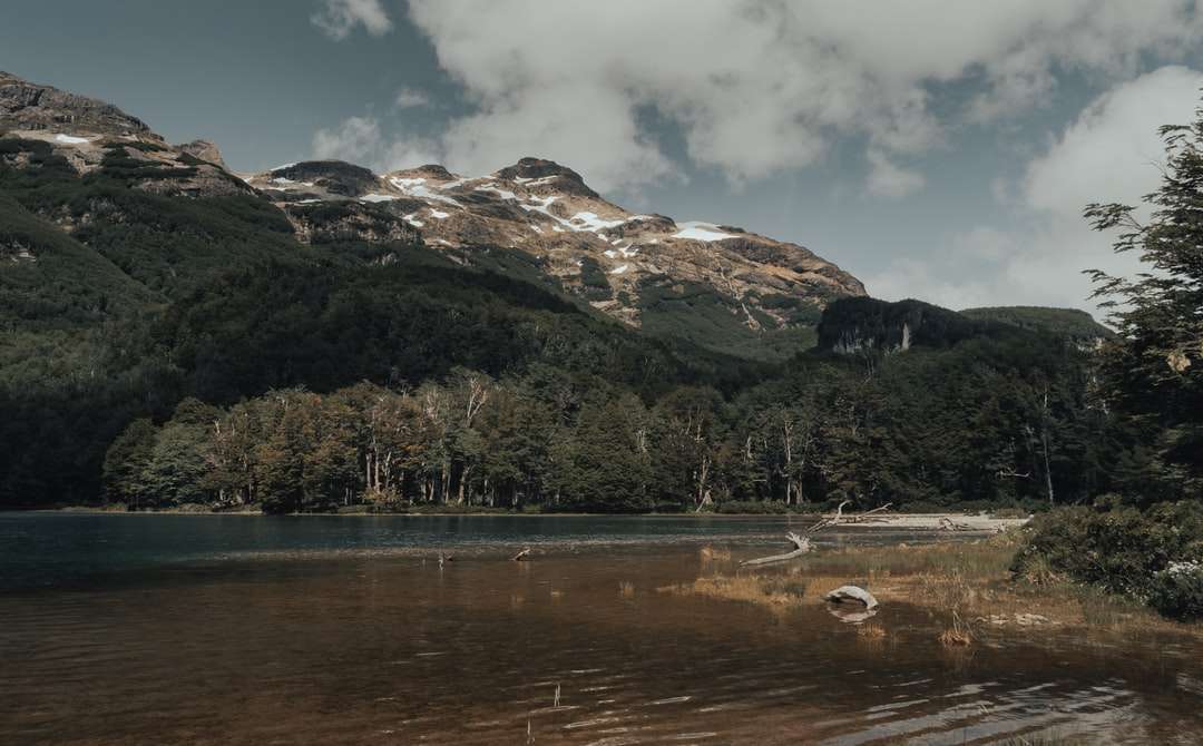 καταπράσινα δέντρα κοντά σε λίμνη και βουνό παζλ online