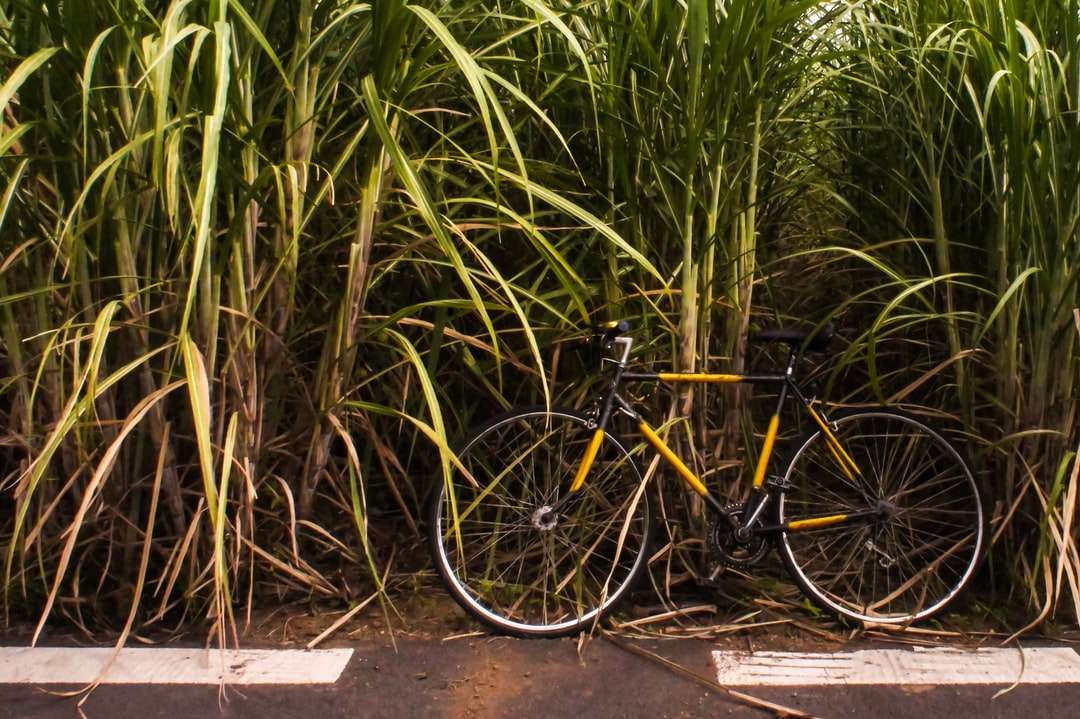 Bicicleta negra estacionada junto a la planta verde rompecabezas en línea