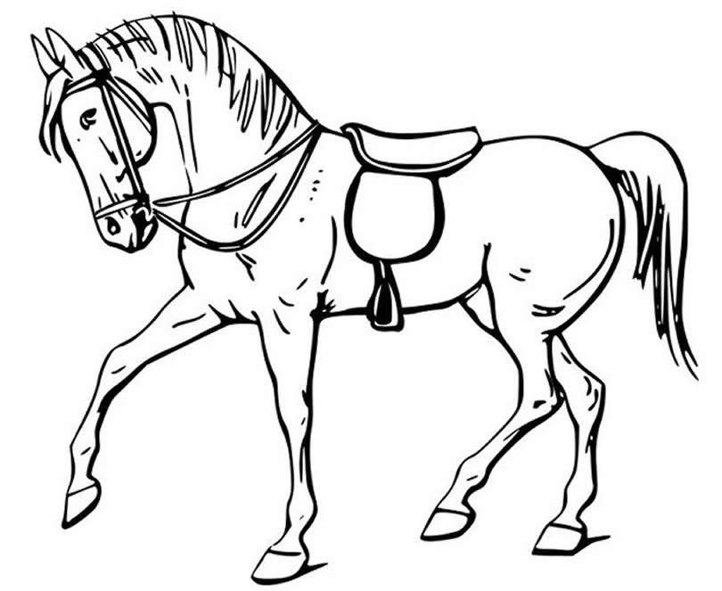 Άλογο123 παζλ online