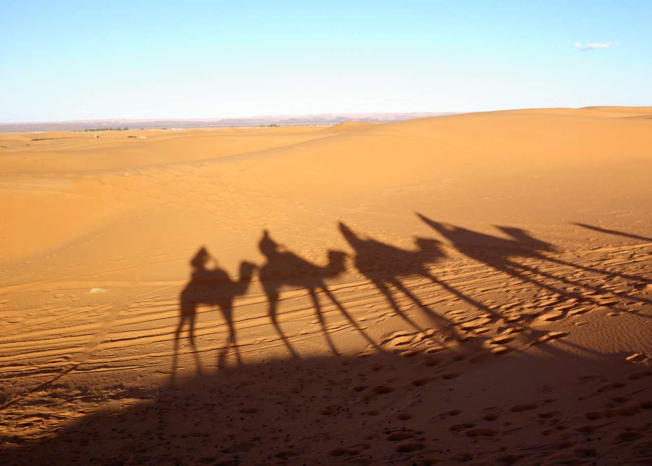 Βόλτα με καμήλα παζλ online