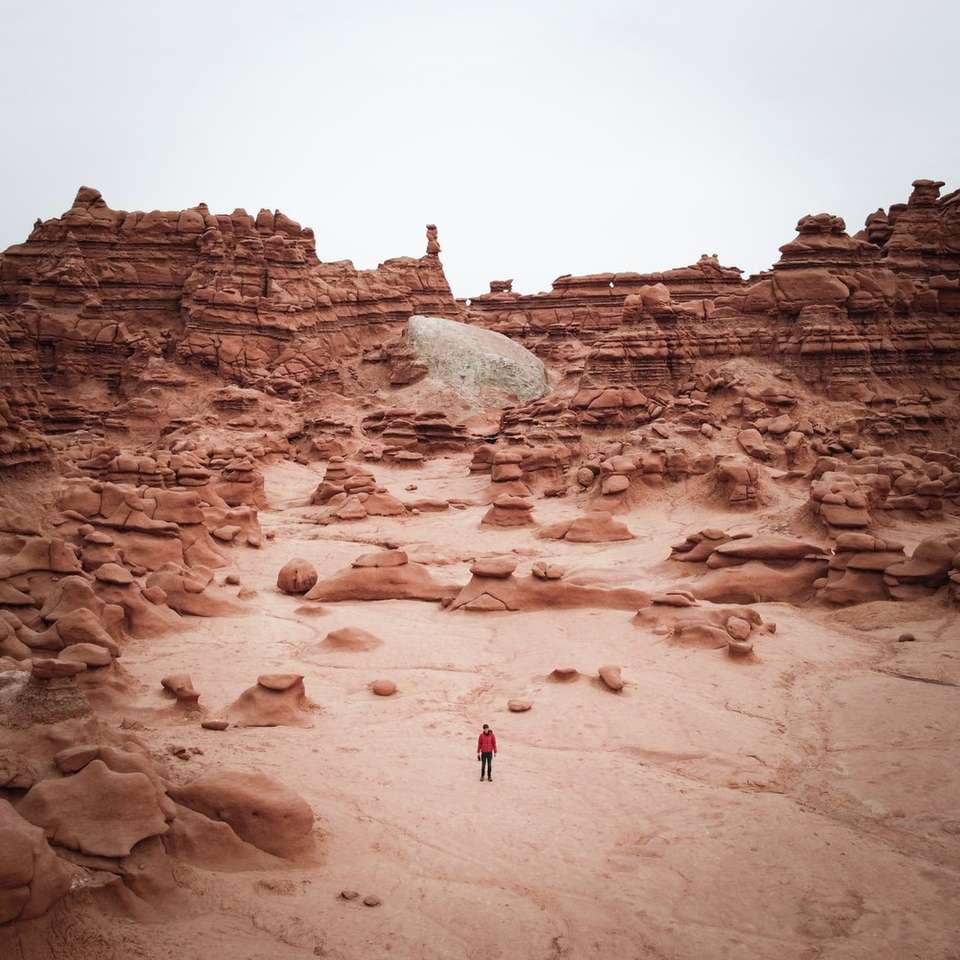 Persona en chaqueta roja caminando sobre arena marrón durante el día rompecabezas en línea