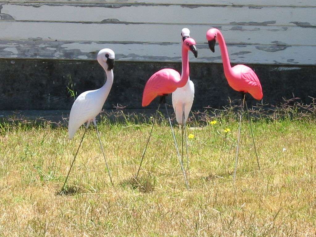 Plastic flamingo legpuzzel online