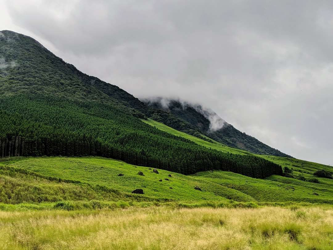 câmp de iarbă verde lângă munte sub nori albi puzzle online