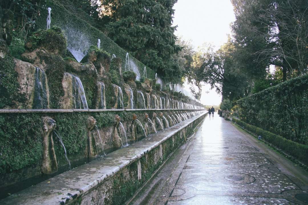 γκρι τσιμεντένια γέφυρα ανάμεσα σε πράσινα δέντρα κατά τη διάρκεια της ημέρας online παζλ