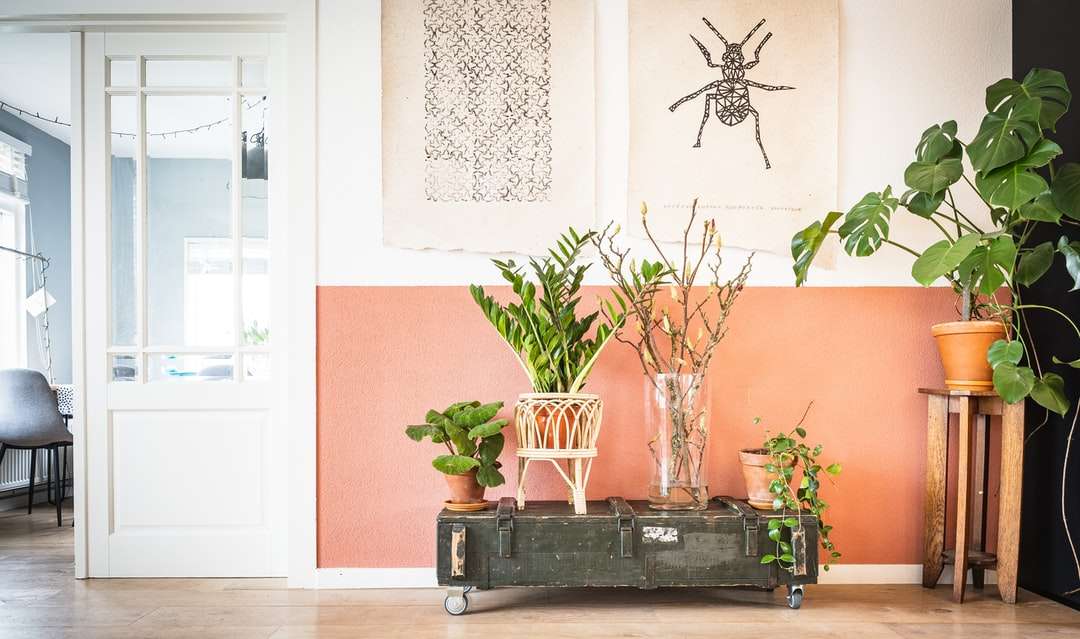 plante en pot vert sur table en bois noir puzzle en ligne
