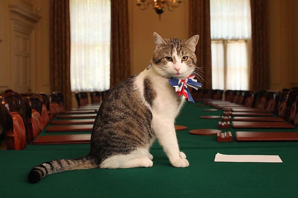 Chief Mouser to the Cabinet Office jigsaw puzzle online