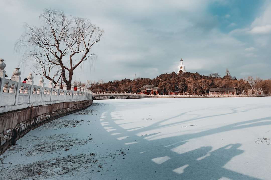 fehér hóval borított híd a folyón online puzzle