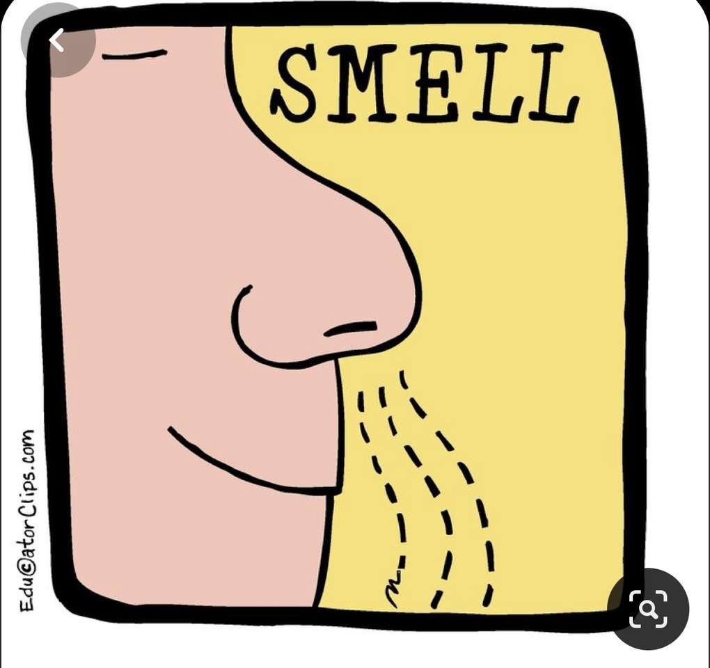 Αίσθηση μυρωδιάς παζλ online