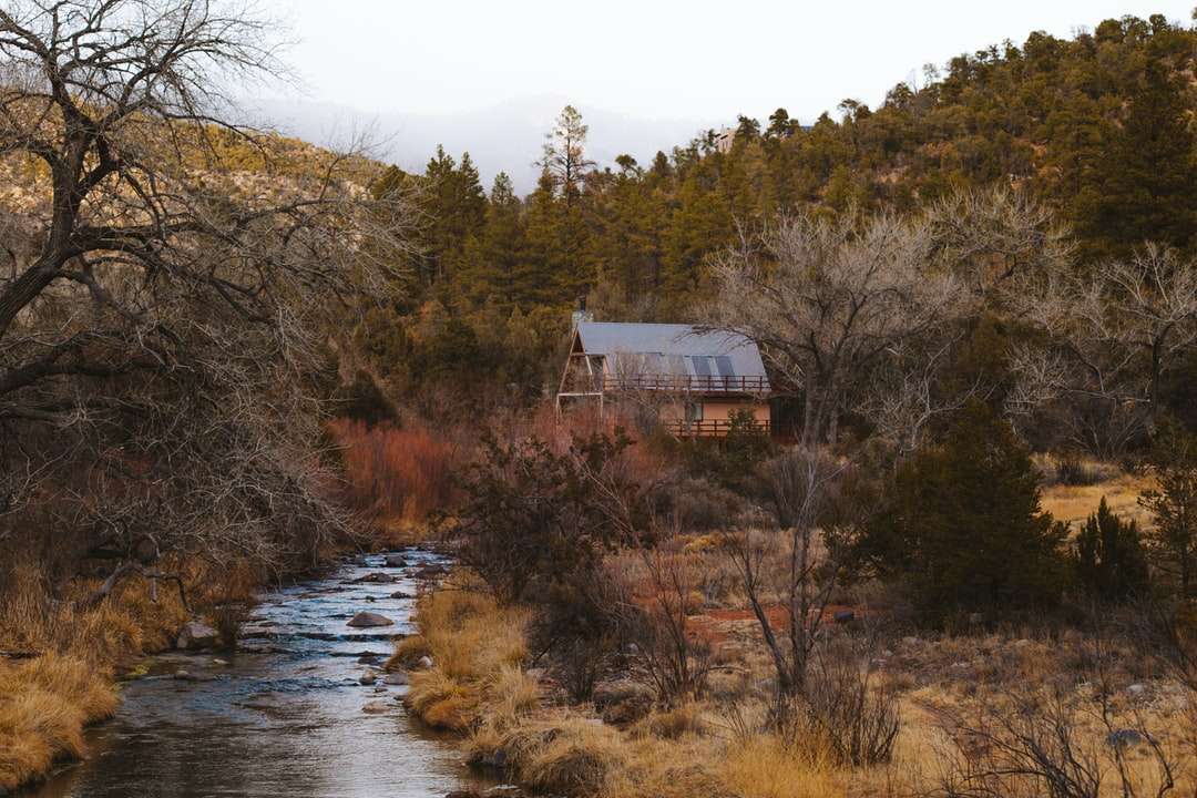 коричневый и белый дом у реки в окружении деревьев онлайн-пазл
