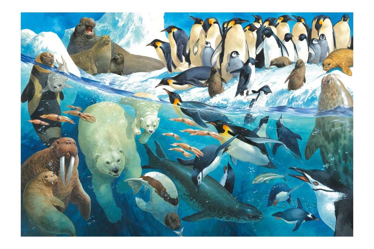 Polar dieren online puzzel