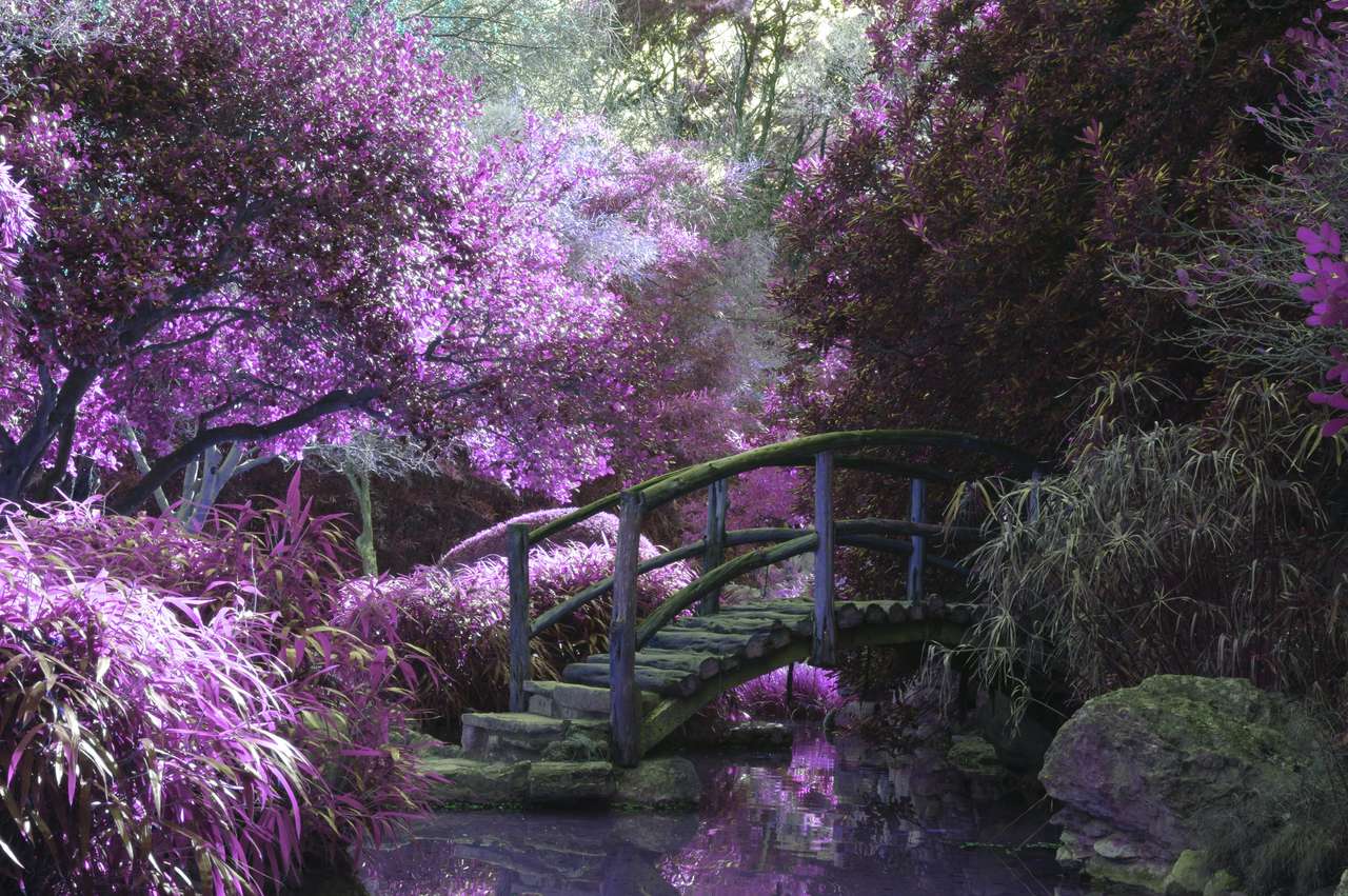 Γέφυρα με άνθη κερασιάς online παζλ