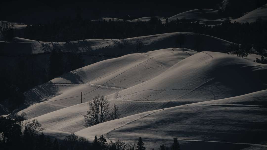 日中の雪に覆われたフィールドの航空写真 ジグソーパズルオンライン