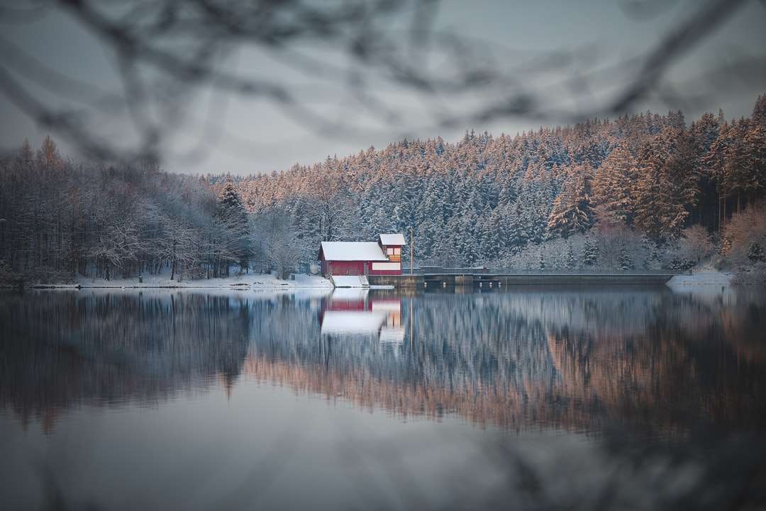 casă albă și roșie lângă lac înconjurat de copaci puzzle online